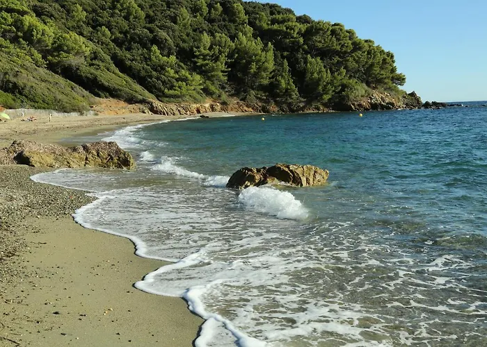Location Corsica
