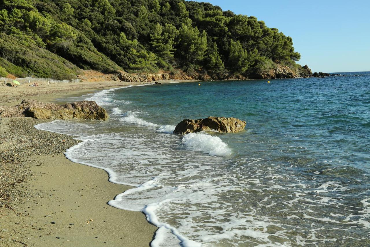 Location Corsica Apartment
