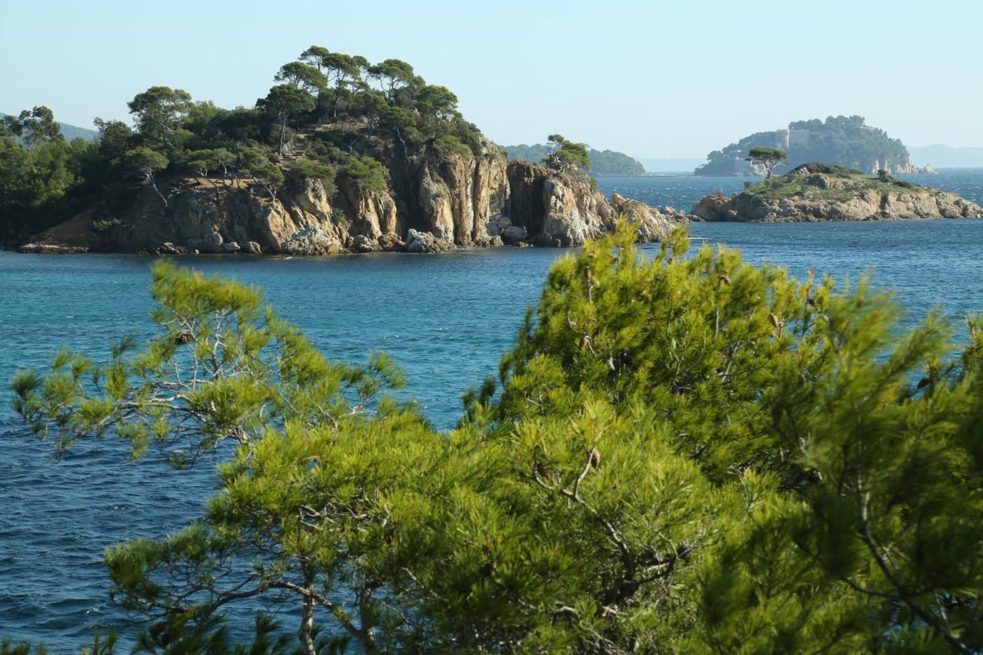 Location Corsica Apartment Cavalaire-sur-Mer