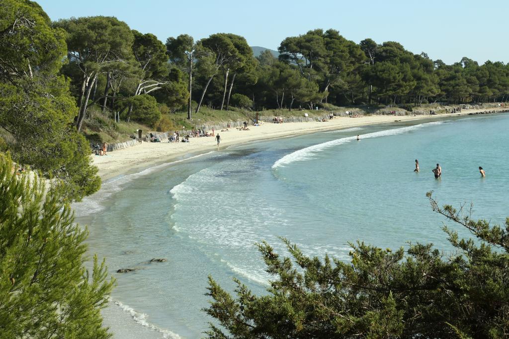 Location Corsica Apartment